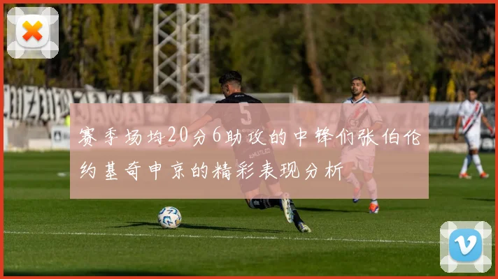 赛季场均20分6助攻的中锋们张伯伦约基奇申京的精彩表现分析