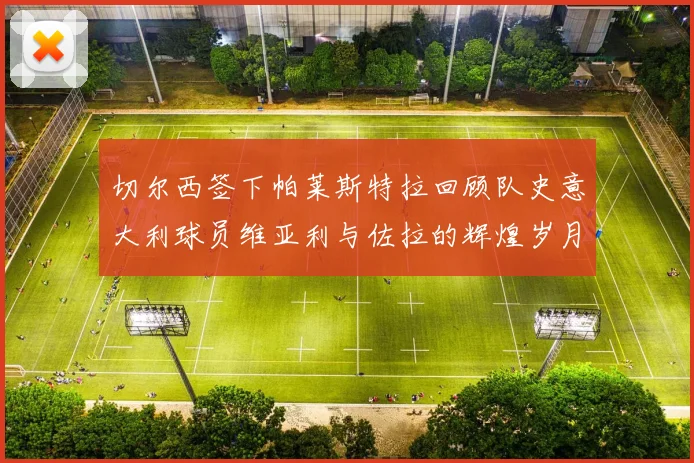 切尔西签下帕莱斯特拉回顾队史意大利球员维亚利与佐拉的辉煌岁月